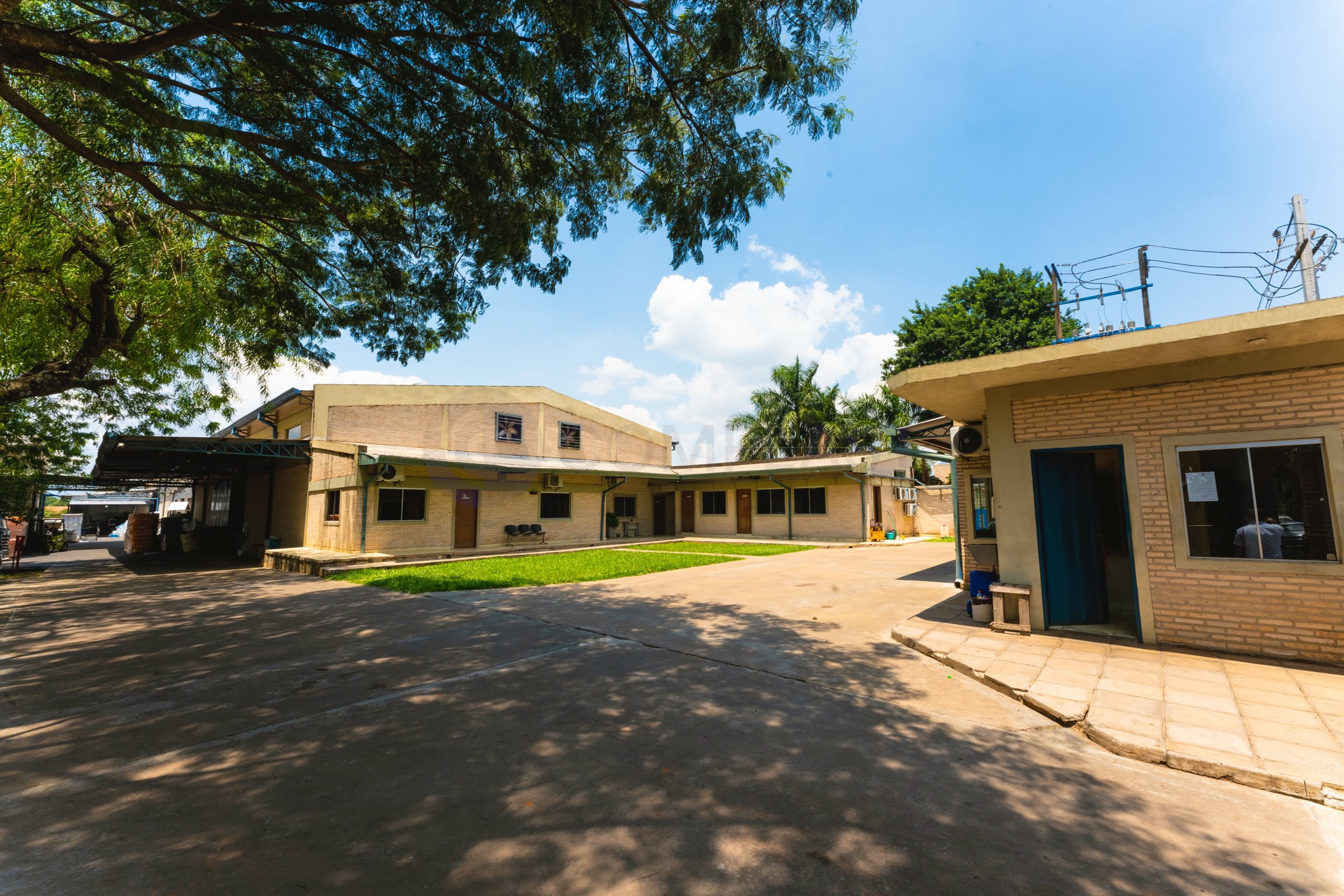 Photoroom_20250217_113757